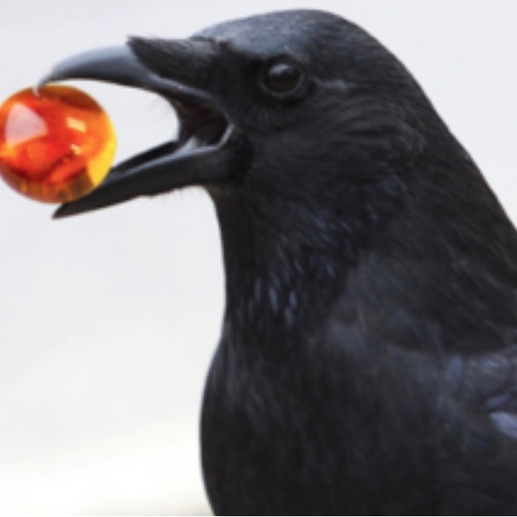 Meet your Posher - Picture 3 of 6